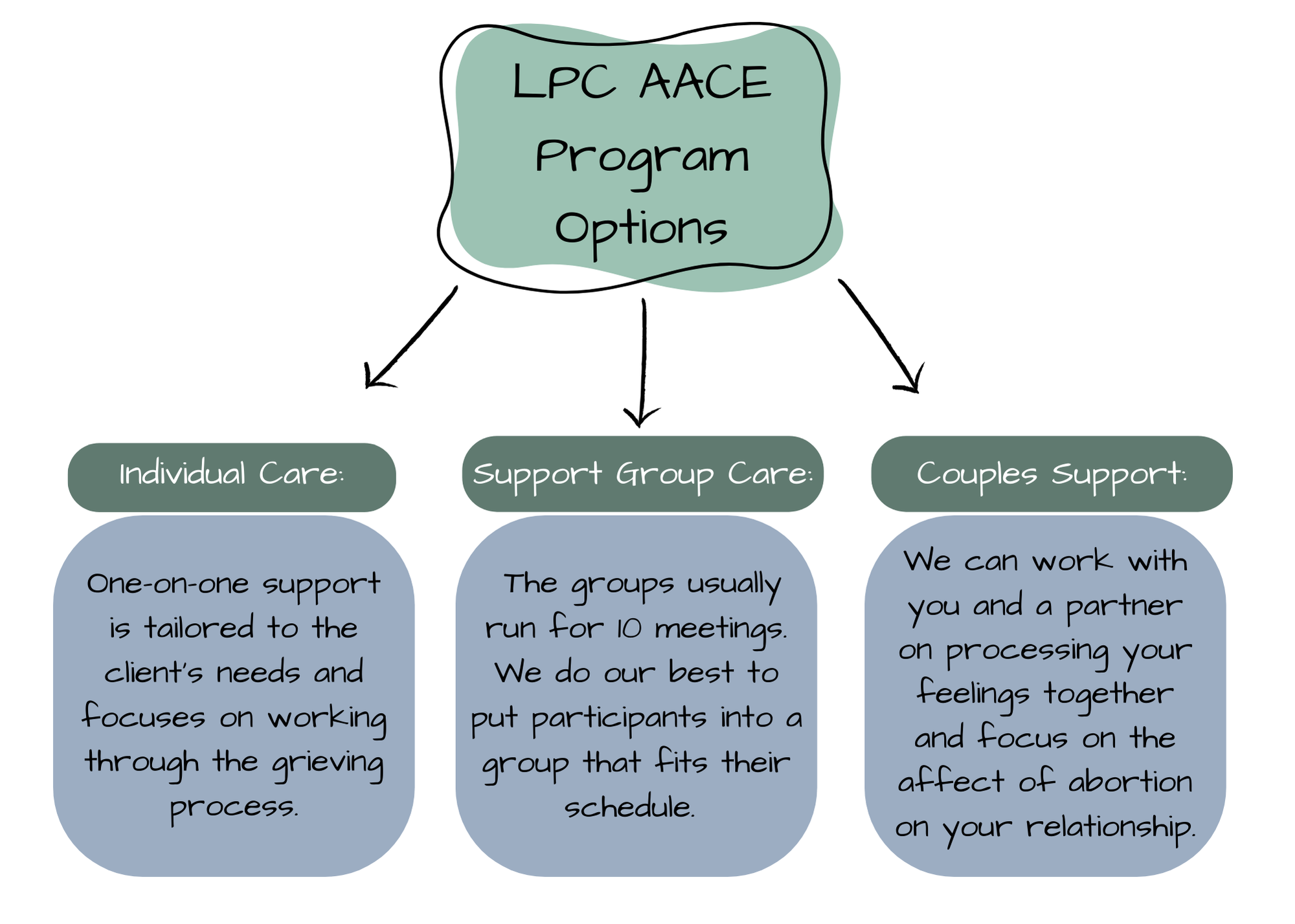 AACE Program Options-2