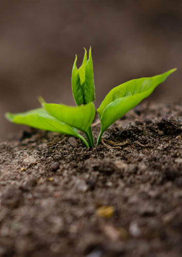 The LPC - Impact Report