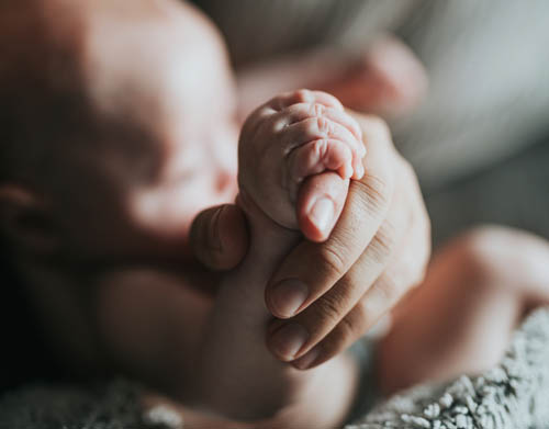 The LPC - Adoption Support